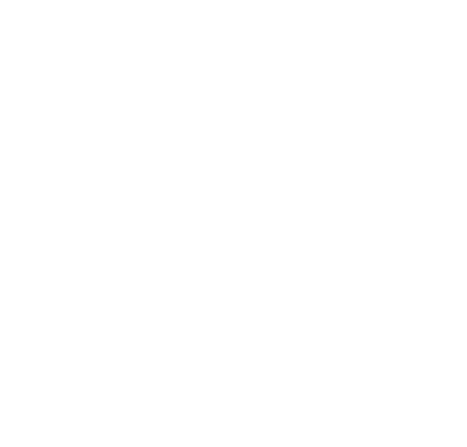 VIBE STORE